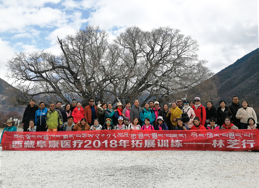 西藏阜康醫(yī)療2018年拓展訓(xùn)練——增強(qiáng)團(tuán)隊(duì)凝聚力、提升團(tuán)隊(duì)協(xié)作能力，更好地為患者服務(wù)