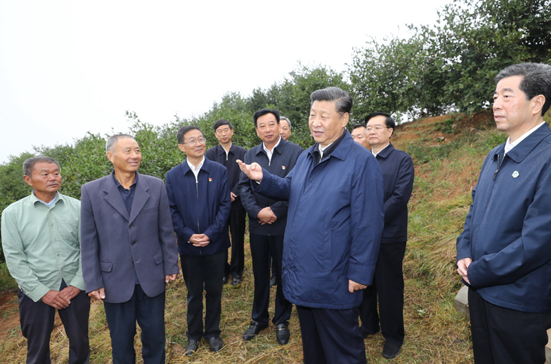 　　9月16日至18日，中共中央總書記、國家主席、中央軍委主席習近平在河南考察。這是17日上午，習近平來到信陽市光山縣槐店鄉(xiāng)司馬光油茶園，同正在勞作的村民和管理人員交流。 新華社記者 鞠鵬 攝