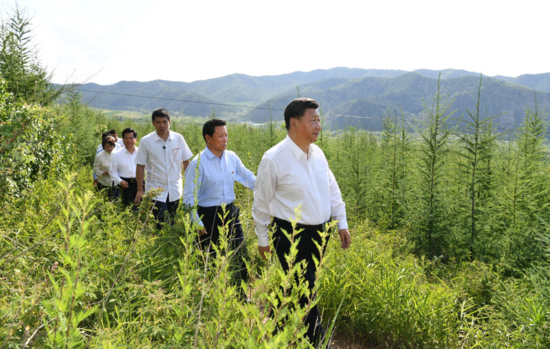 7月15日至16日，中共中央總書記、國家主席、中央軍委主席習(xí)近平在內(nèi)蒙古考察并指導(dǎo)開展“不忘初心、牢記使命”主題教育。這是15日下午，習(xí)近平在赤峰市喀喇沁旗馬鞍山林場林區(qū)，沿著崎嶇的護(hù)林小道察看林木長勢。